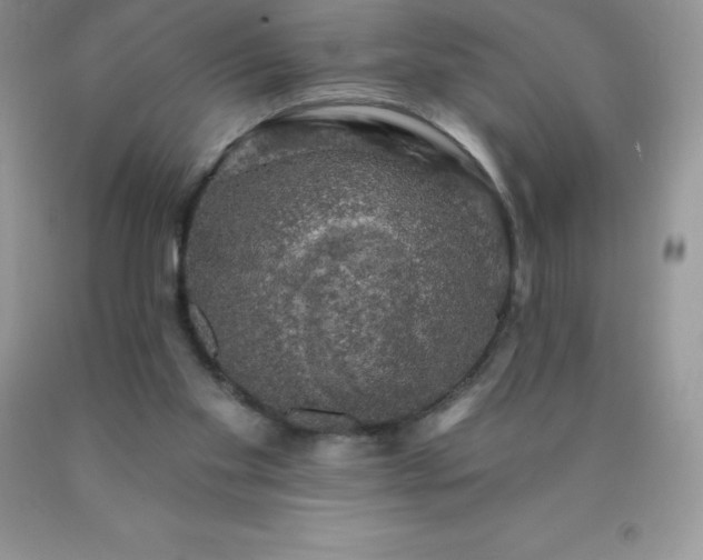 X0000090440109200707272202