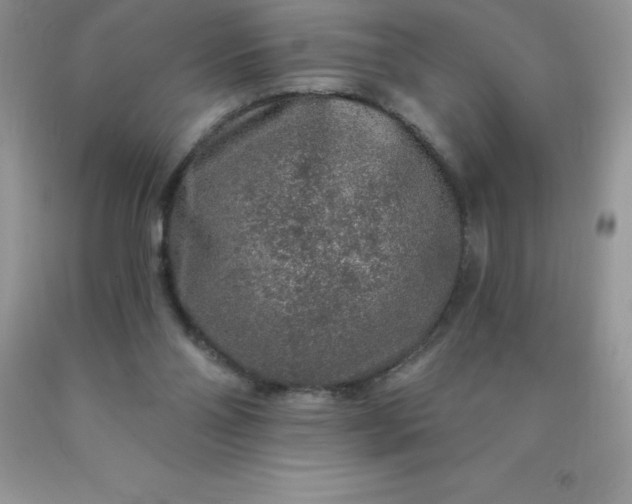 X0000090440110200707272202