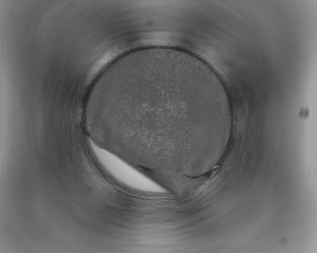 X0000090440111200707272202