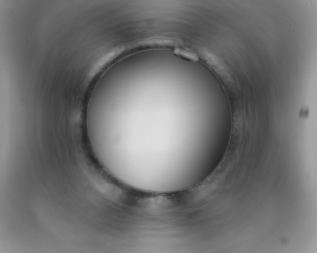 X0000090440112200707272202