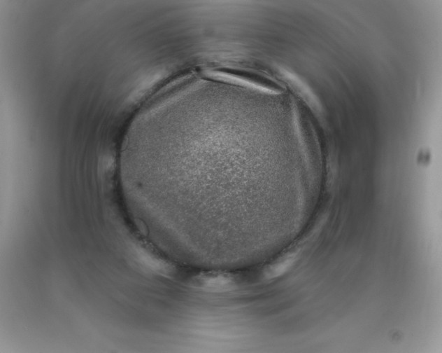 X0000090440113200707272202