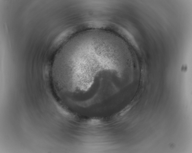 X0000090440114200707272202