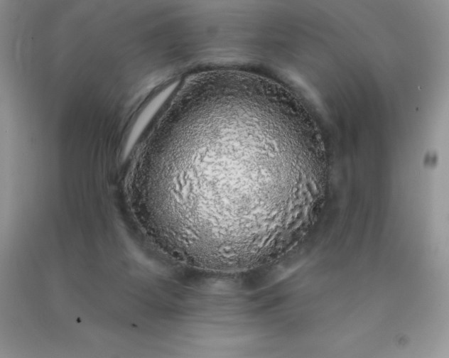 X0000090440115200707272202