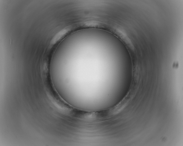 X0000090440116200707272202