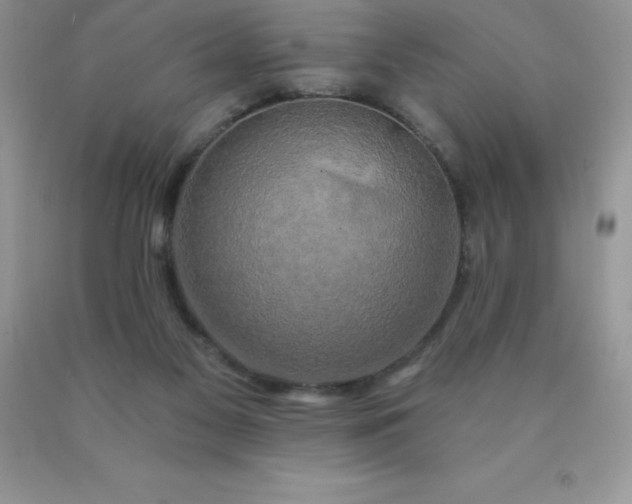 X0000090440117200707272202