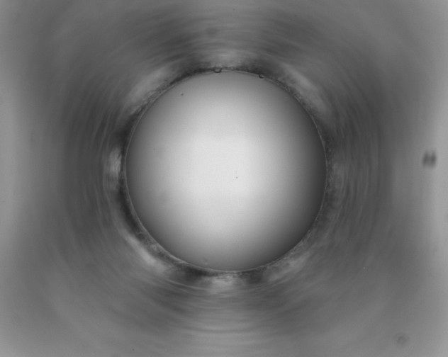 X0000090440118200707272202