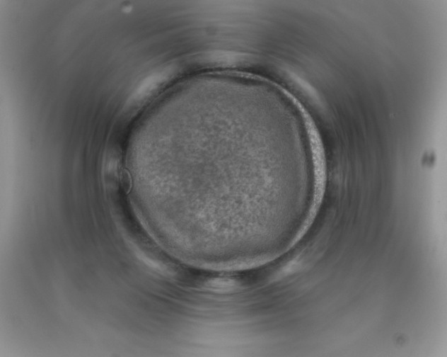 X0000090440119200707272202