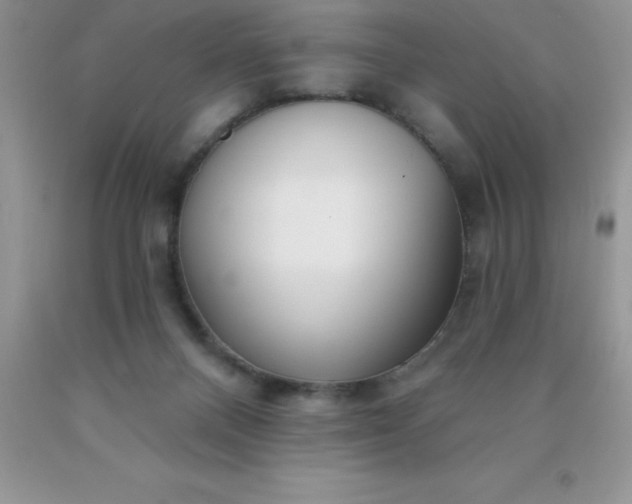 X0000090440120200707272202