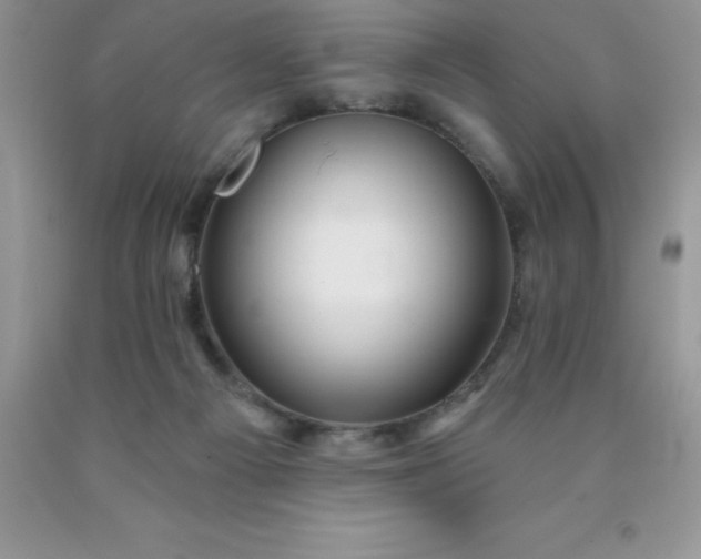 X0000090440121200707272202