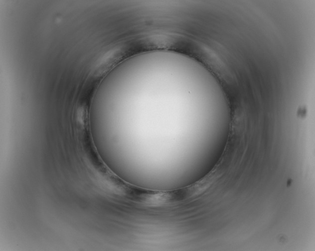 X0000090440122200707272202