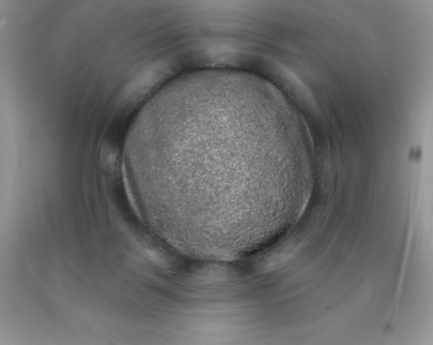 X0000090440123200707272202