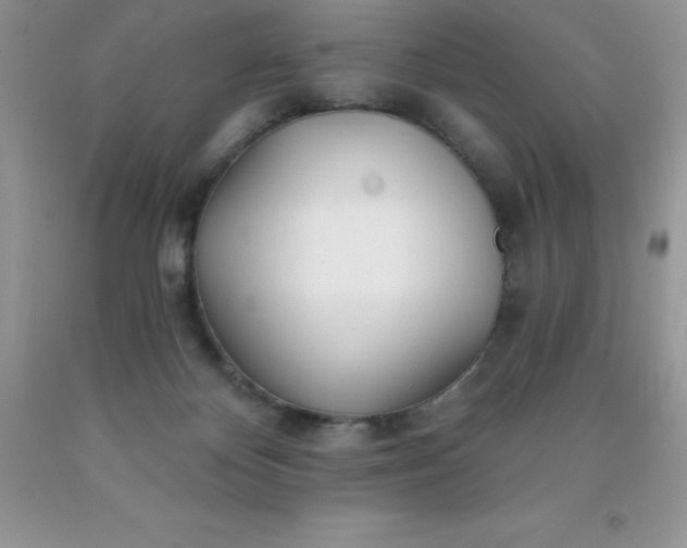 X0000090440124200707272202