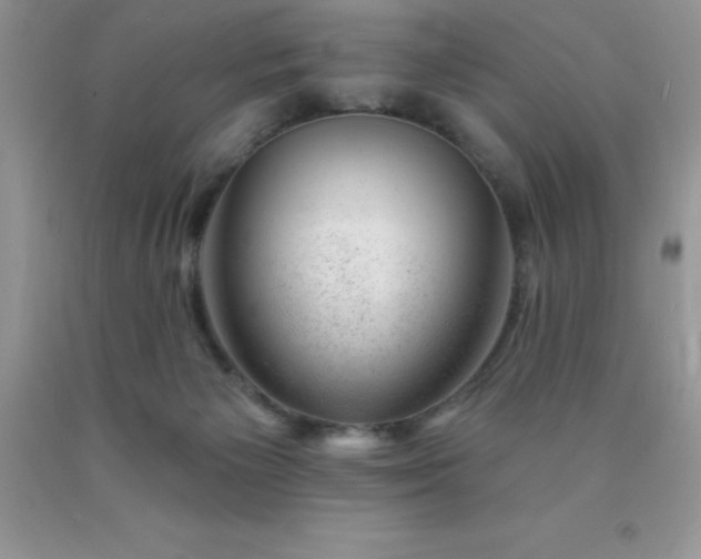 X0000090440125200707272202