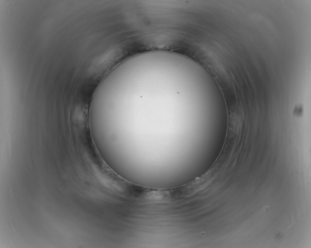 X0000090440126200707272202