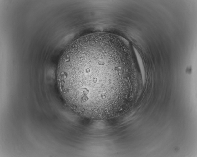 X0000090440127200707272202