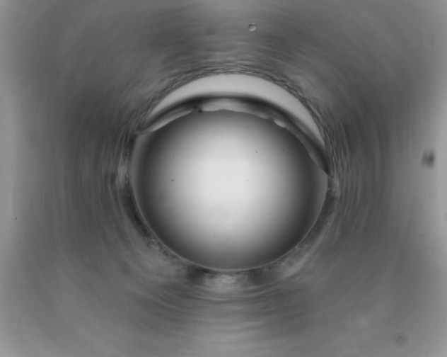 X0000090440129200707272202