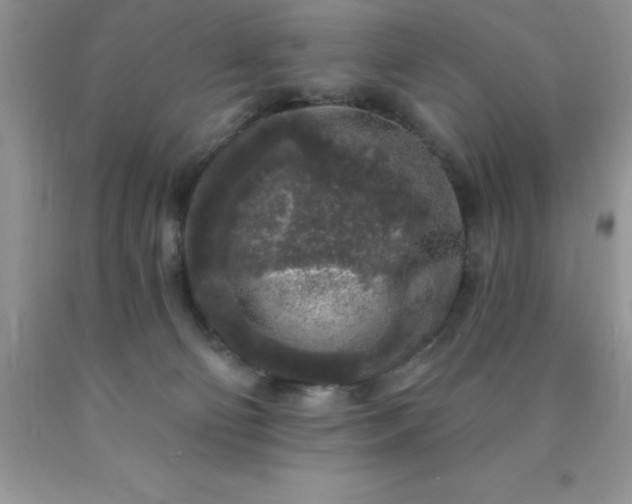 X0000090440130200707272202