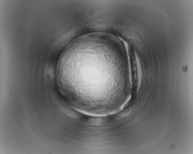 X0000090440131200707272202