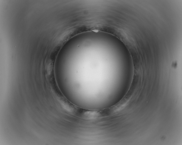 X0000090440133200707272202