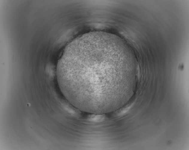 X0000090440135200707272202