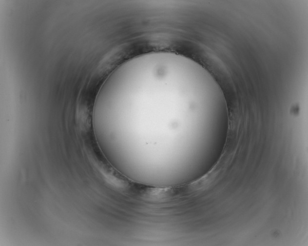 X0000090440136200707272202