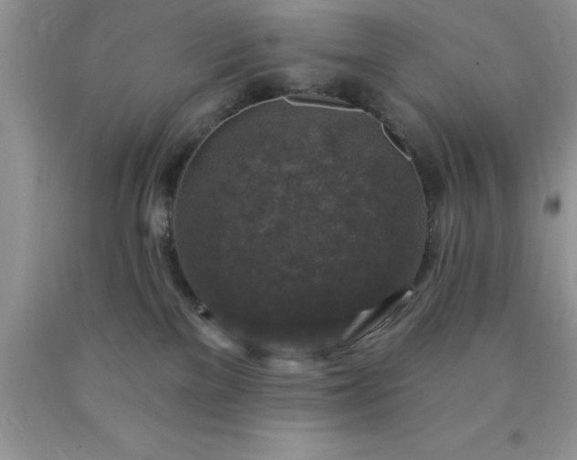 X0000090440137200707272202