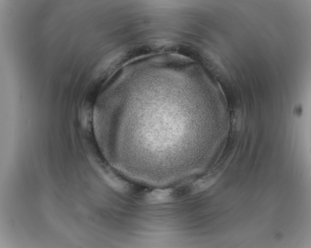 X0000090440138200707272202