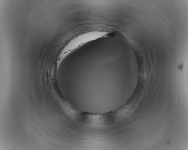 X0000090440139200707272202