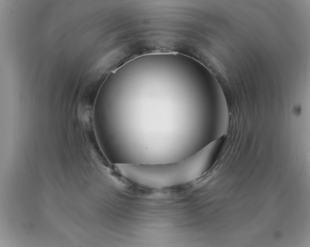 X0000090440141200707272202