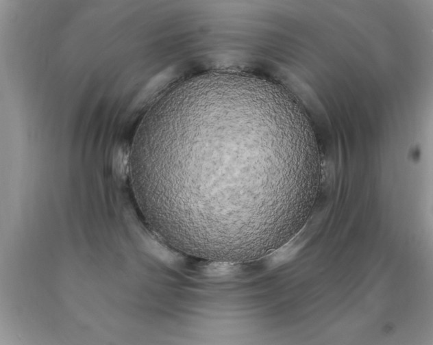 X0000090440142200707272202