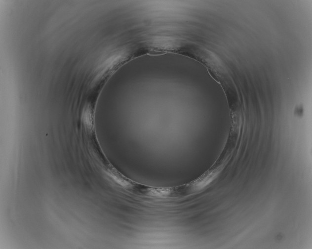 X0000090440143200707272202