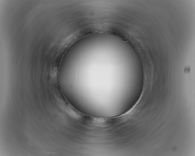 X0000090440144200707272202