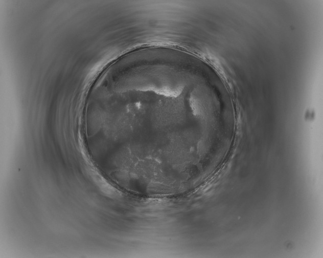 X0000090440145200707272201