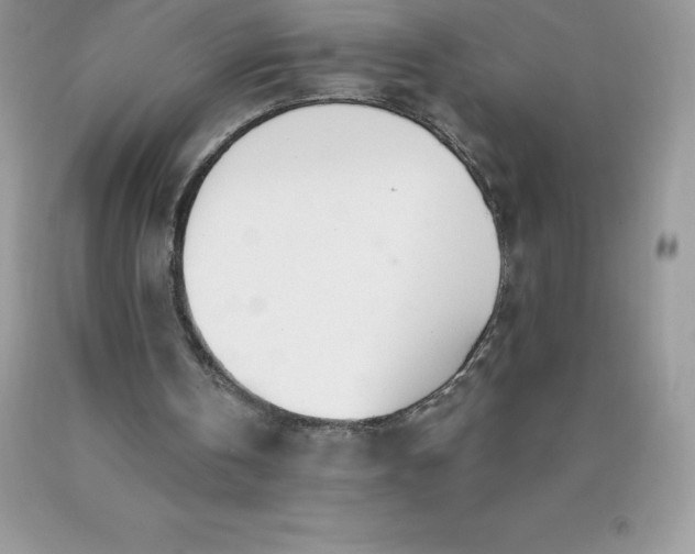 X0000090440146200707272201