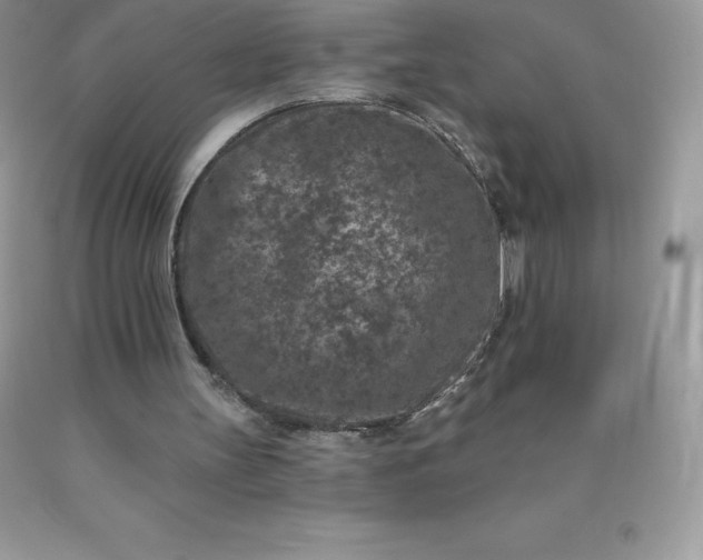 X0000090440147200707272201