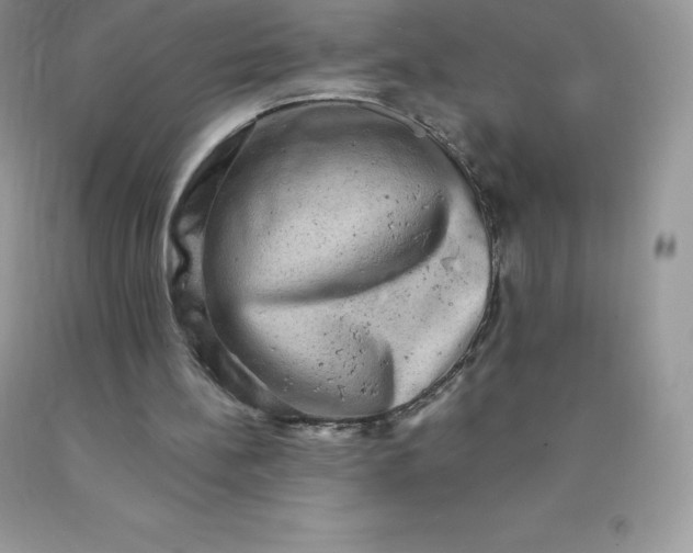 X0000090440148200707272201