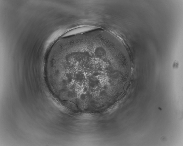 X0000090440149200707272201