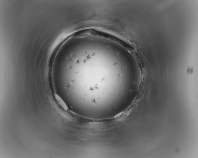 X0000090440150200707272201