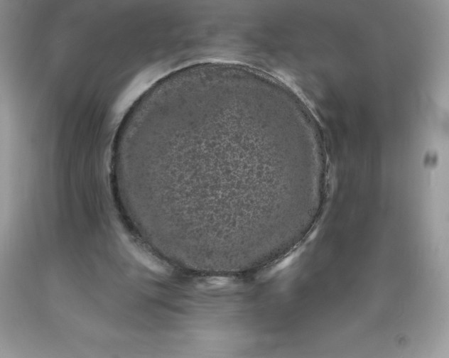 X0000090440151200707272201