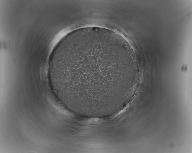 X0000090440152200707272201