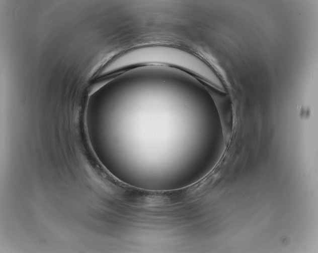 X0000090440154200707272201