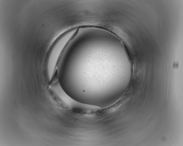 X0000090440156200707272201