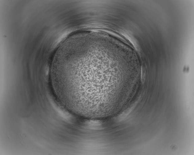 X0000090440157200707272201