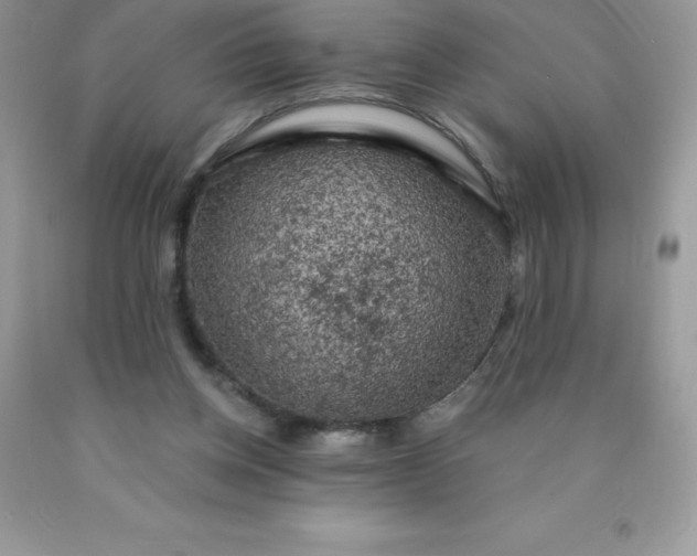 X0000090440158200707272201