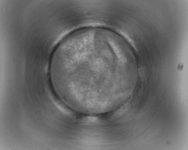 X0000090440159200707272201