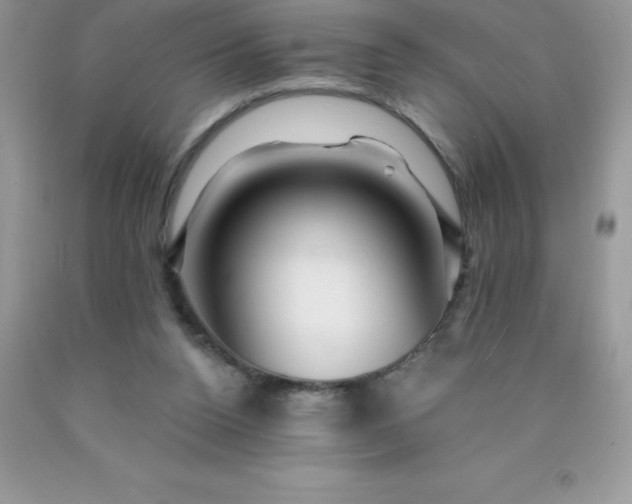 X0000090440160200707272201