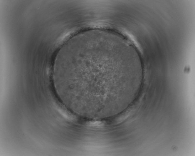 X0000090440161200707272201