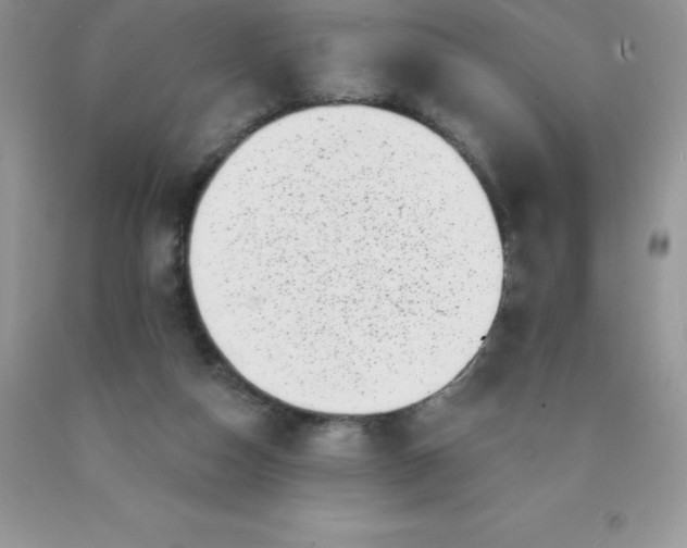 X0000090440162200707272201