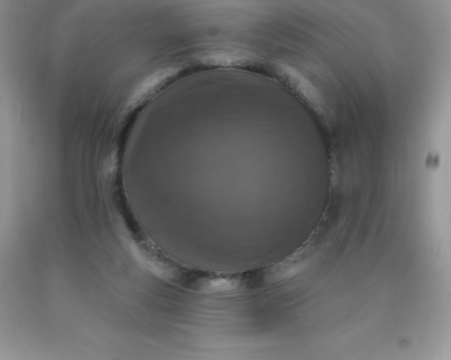 X0000090440163200707272202