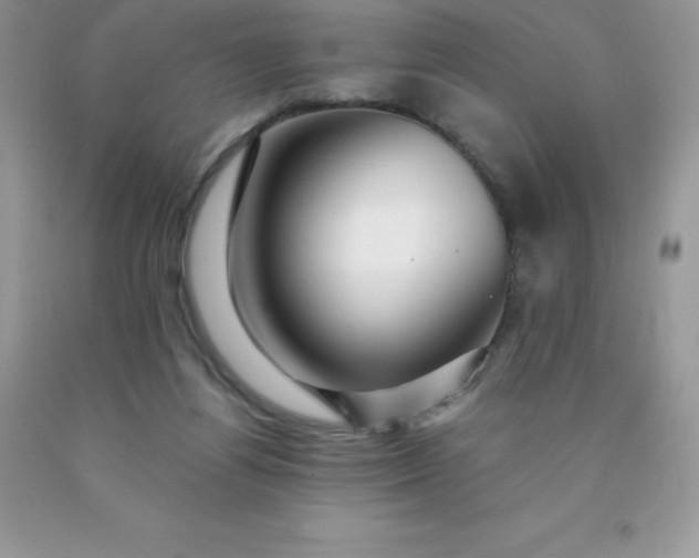 X0000090440164200707272202